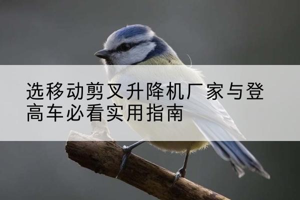 齐齐哈尔电动升降机厂家-选移动剪叉升降机厂家与登高车必看实用指南