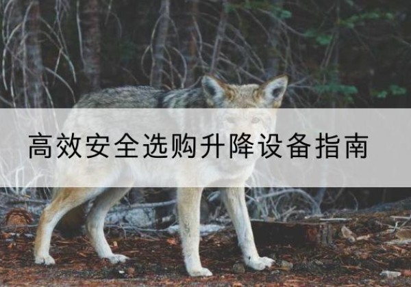齐齐哈尔升降货梯厂家推荐-*安全选购升降设备指南